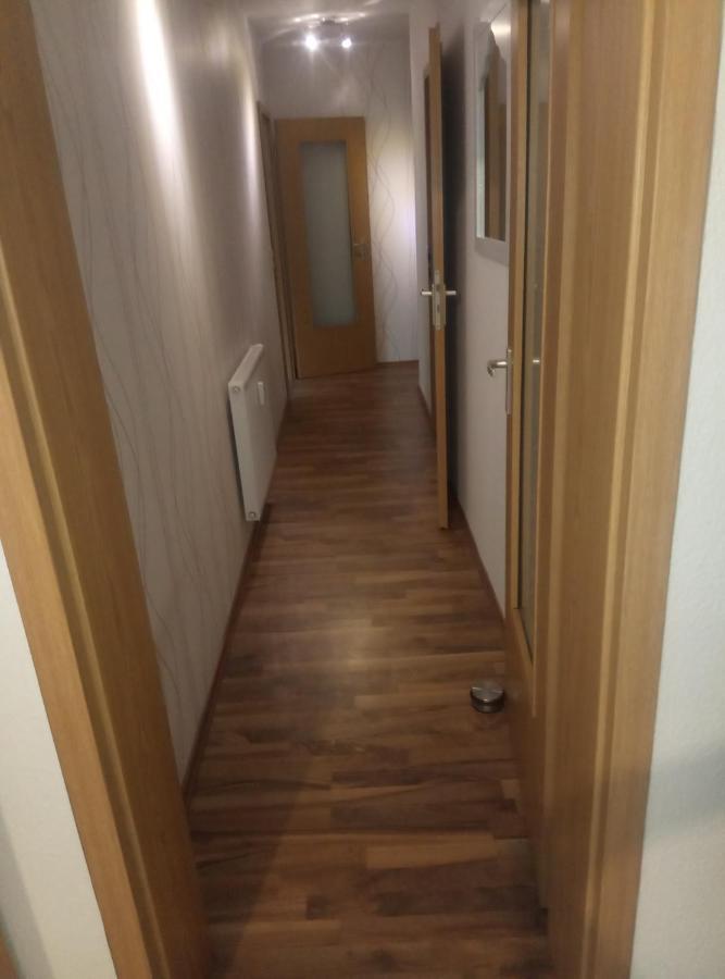 Ferienwohnung Rickyy 莱辛巴赫伊姆沃戈蒂 外观 照片